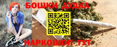 крисы Пыть-Ях