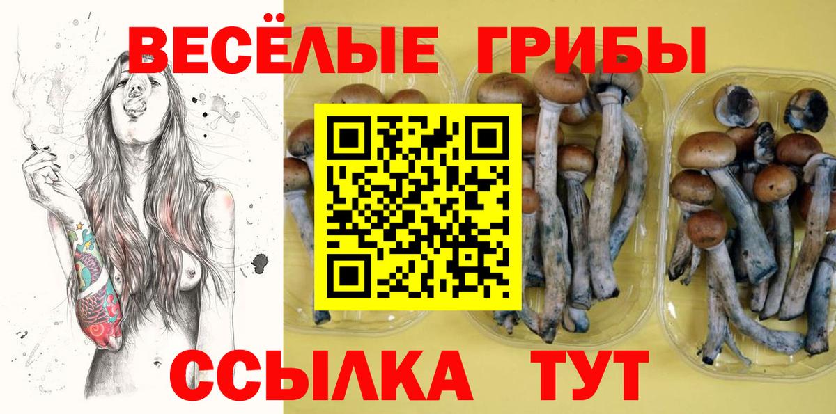 где купить наркоту  Галлюциногенные грибы Psilocybine cubensis  Россия  Вход с VPN  Псилоцибиновые грибы мухоморы 