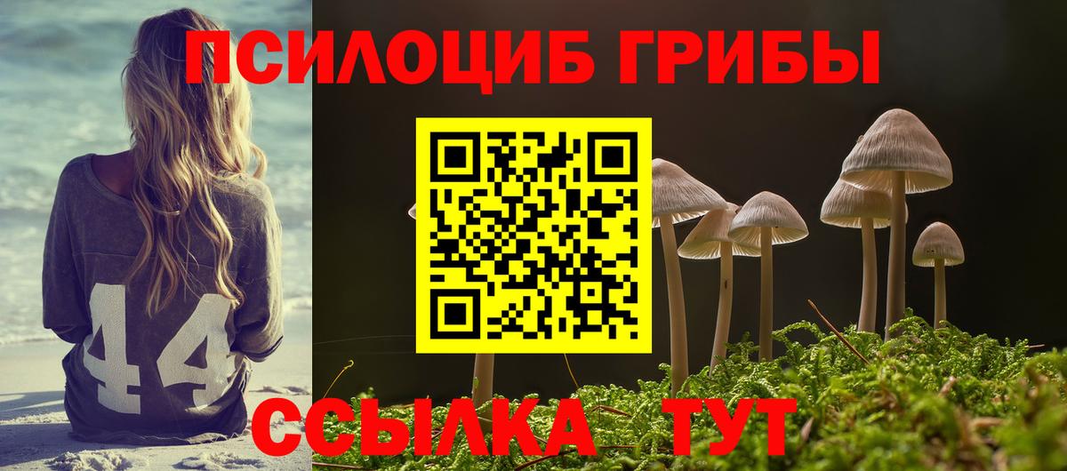 Псилоцибиновые грибы Cubensis Россия